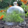 Glass Bell Cloche -Orchard Lane Shop Glass bell cloche 4960a