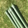 Plant & Tomato Support Stakes - 1.8m / 71" Long
