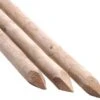 Tree Stakes 1.2m X 50mm Machine Rounded X 5 2 Tree Stakes 1.2m X 50mm Machine Rounded X 5 -Orchard Lane Shop MCRS125