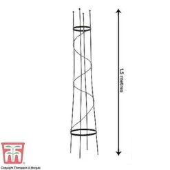 Open Top Obelisk -Orchard Lane Shop OBE KB0600 C