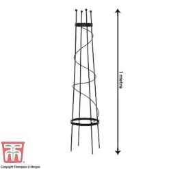 Open Top Obelisk -Orchard Lane Shop OBE KB0600 D