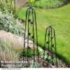 Garden Gear Metal Ornamental Obelisks -Orchard Lane Shop OBEL GARDGEARM T49308