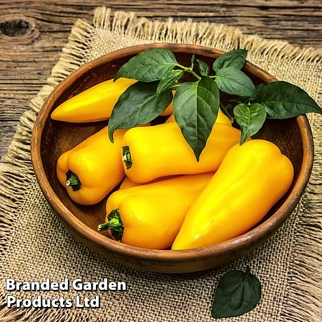 Pepper And Chilli Collection 5 Pepper And Chilli Collection - Image 3