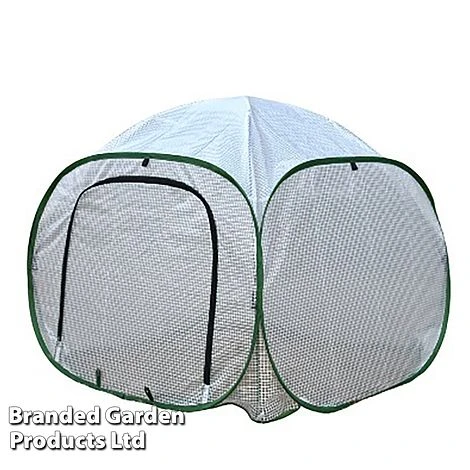 Low Poly Pop Up 3 Low Poly Pop Up