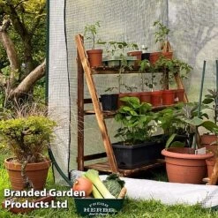 Medium Poly Pop Up (with Door) -Orchard Lane Shop POPU POLYMEDIU S41974