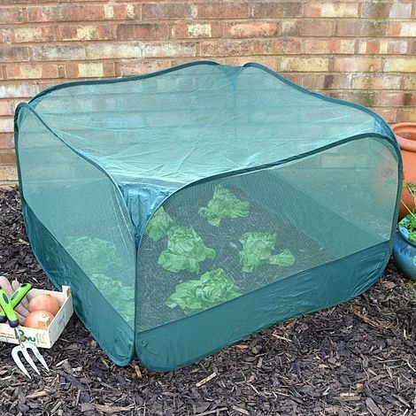 Pop Up Fruit And Vegetable Cage Grow-House (0.65m High) 3 Pop Up Fruit And Vegetable Cage Grow-House (0.65m High)