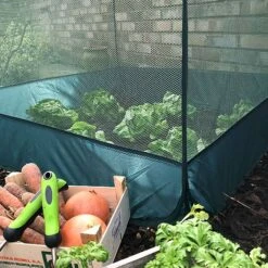 Pop Up Fruit And Vegetable Cage Grow-House (0.65m High) 9 Pop Up Fruit And Vegetable Cage Grow-House (0.65m High) -Orchard Lane Shop Pop20Up20Net20Cage200.65201000x100020967kb