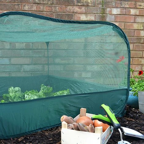 Pop Up Fruit And Vegetable Cage Grow-House (0.65m High) 6 Pop Up Fruit And Vegetable Cage Grow-House (0.65m High) - Image 4