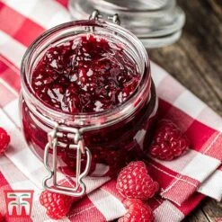 Raspberry 'Sugana' 7 Raspberry 'Sugana' -Orchard Lane Shop RASP RECIPE CUL 4