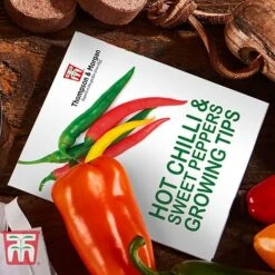 Red Hot Chilli & Sweet Peppers Growing Kit - Gift -Orchard Lane Shop REDH KA8274 D