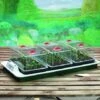 Big 3 Electric Propagator -Orchard Lane Shop SUGAR8445