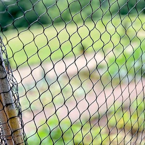 Superior Fruit Cage Net 3 Superior Fruit Cage Net