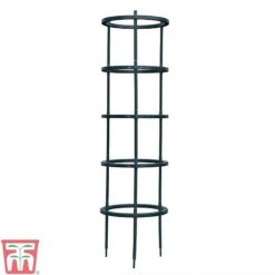 Tomato Growing Support -Orchard Lane Shop TOMA TKA6818P A