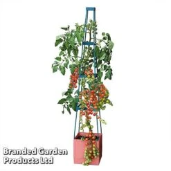 Garden Grow Self Watering Tomato Tower -Orchard Lane Shop TOWE TOMSELFWA T045925