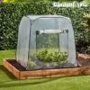 Garden Grow Pop-Up Cloche -Orchard Lane Shop Untitled 24