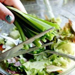 Allium 'Quattro' 9 Allium 'Quattro' -Orchard Lane Shop VEALL35203