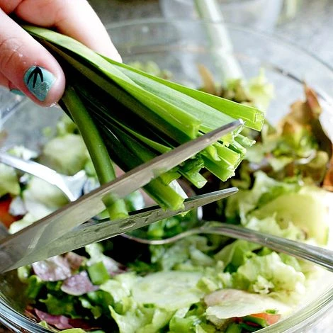 Allium 'Quattro' 6 Allium 'Quattro' - Image 4