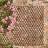 Extendable Willow Trellis - Twin Pack -Orchard Lane Shop a8