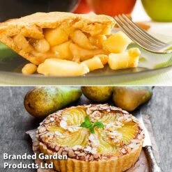 Fruit Tree Staple Duo -Orchard Lane Shop appe