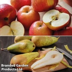 Fruit Tree Staple Duo -Orchard Lane Shop appe2