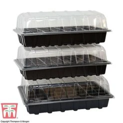 Garden Grow Plug And Seed Growing Tray 8 Garden Grow Plug And Seed Growing Tray -Orchard Lane Shop domed