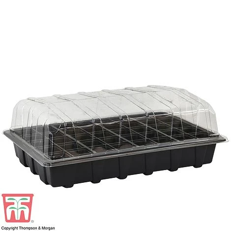 Garden Grow Plug And Seed Growing Tray 3 Garden Grow Plug And Seed Growing Tray