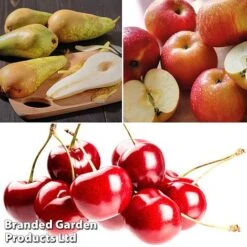 Mini Orchard Pie Trio -Orchard Lane Shop fruit3b