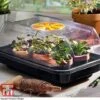 Garden Gear Heated Propagator 1 Garden Gear Heated Propagator -Orchard Lane Shop heat prop1