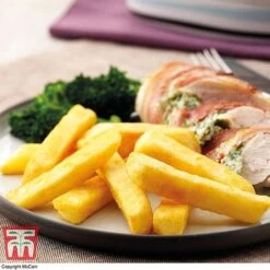 Potato 'T&M All Year Round Collection' -Orchard Lane Shop mcprem2