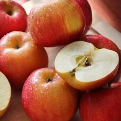 Apple 'Family Apple Tree' -Orchard Lane Shop national apple day braeburn