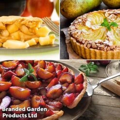 Mini Orchard Trio 7 Mini Orchard Trio -Orchard Lane Shop pie2