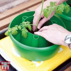 Plant Halos -Orchard Lane Shop plant halo2