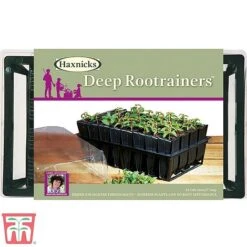 Deep Root Trainers -Orchard Lane Shop root3
