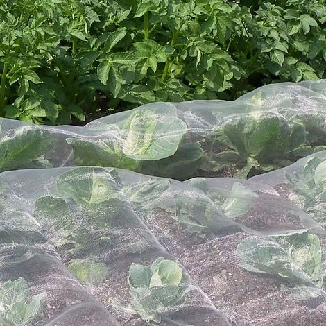 Veggiemesh Insect Mesh Netting For Vegetables 3 Veggiemesh Insect Mesh Netting For Vegetables
