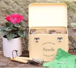 Cream Seed Tin